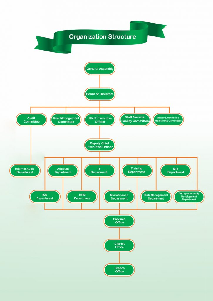 Organizational Structure