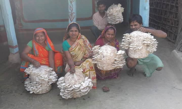 Entrepreneurship Development